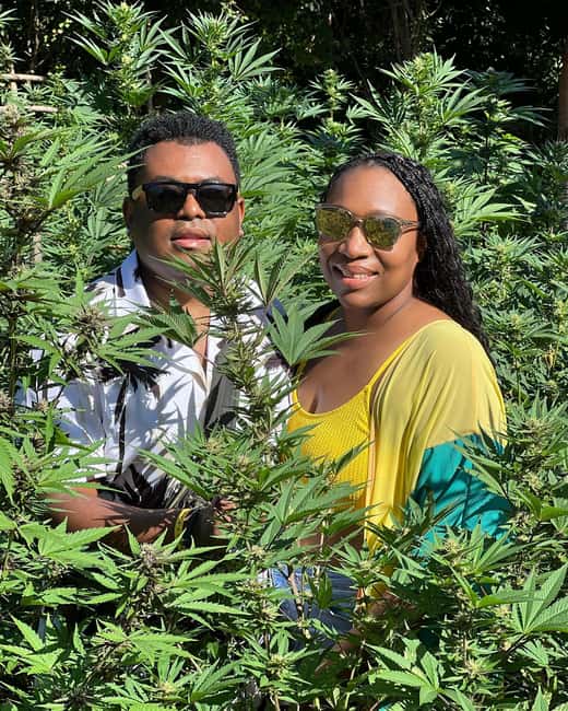 Montego Bay Marijuana Farm Tour - Price and Value: Is $140 Worth a 1–2 Hour Private Tour?