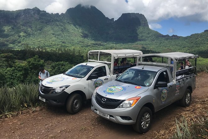 Moorea 4WD Tour Inc. Belvedere, Pineapple Farm, Magic Mountain... - Key things I’d circle before you book
