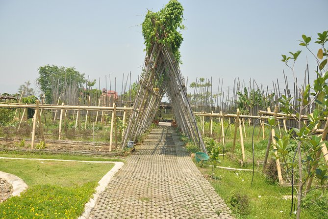 Morning Cooking Class in Organic Farm with Local Market Tour - Tips to get the most out of your farm cooking morning