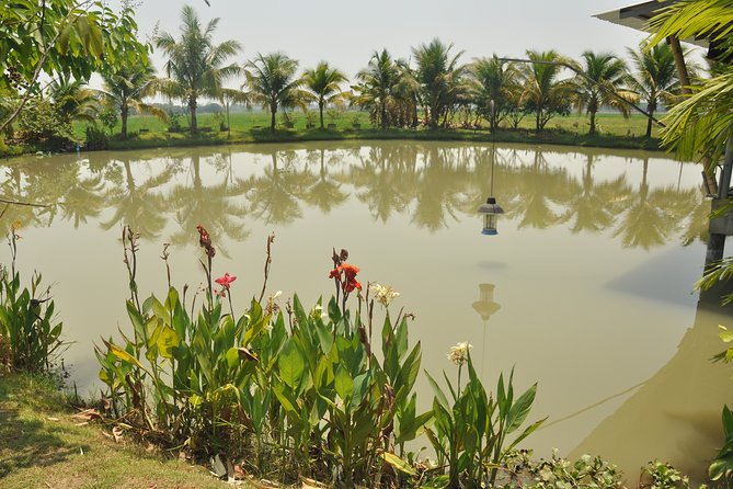 Morning Cooking Class in Organic Farm with Local Market Tour - The Best Thai Cooking Course: organic farm grounds and the kitchen setup