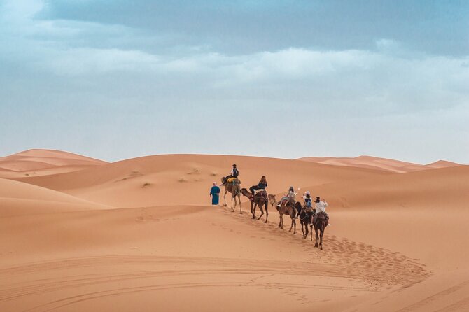 Morning Desert Safari From Abu Dhabi -Camel Ride,Sand Boarding,Camel Farm Visit - Sandboarding on Abu Dhabi Dunes: Sliding Included, Not Optional Fun