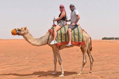 "Morning Desert Safari with Camel Farm visits & Arabic Treats" - Pickup, timing, and how the 4.5 hours plays out