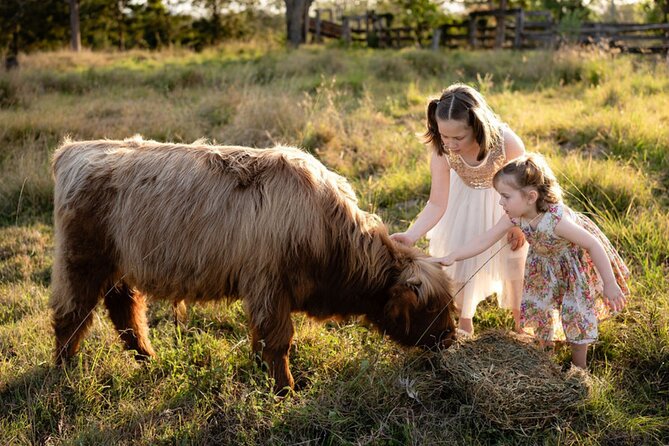 Morning Farm Experience near Gympie & Noosa - Why This 2-Hour Farm Morning Feels Different