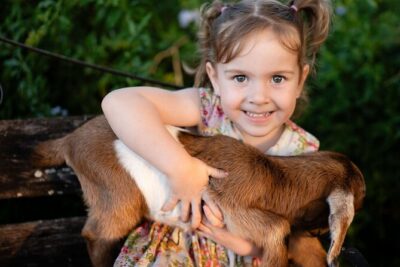 Morning Farm Experience near Gympie & Noosa - Hands-On Animal Time: Goats, Sheep, and Piglets