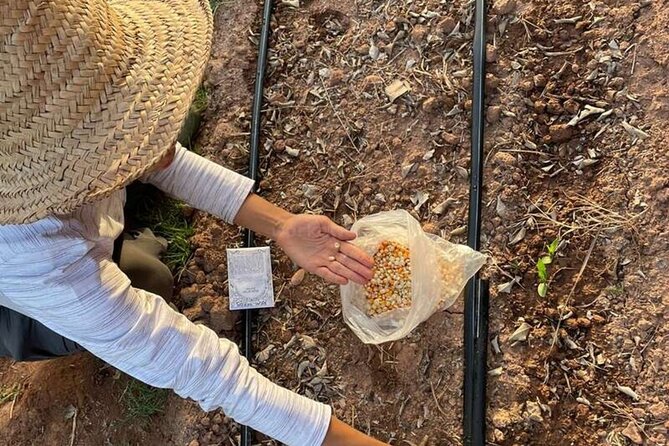 Moroccan Cooking Class and Eco-Farm Visit - Full day - Lunch, Food-Sharing Culture, and the Tea Ritual That Closes the Loop