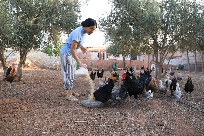 Moroccan Cooking Class and Eco-Farm Visit - Full day - Who This Tour Fits Best (and Who Might Be Less Interested)