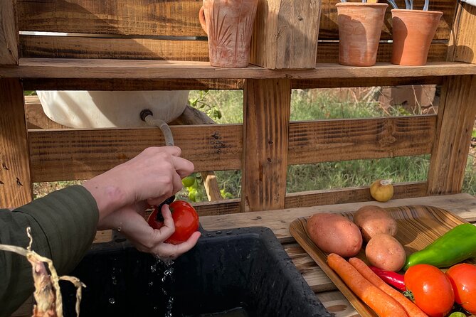 Moroccan Cooking Class and Eco-Farm Visit - Full day - Tagine Cooking: What You’ll Actually Learn (and How It Helps You Eat Better After)