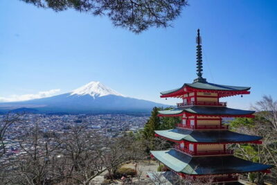 Mt. Fuji Private Chartered Tour with Nature and Wasabi Farm - Getting From Shinjuku to the Fuji Area (Without the Headache)