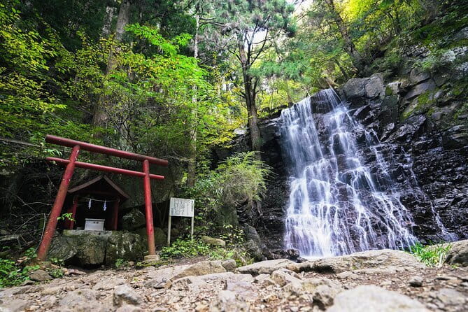 Mt. Fuji Private Chartered Tour with Nature and Wasabi Farm - Oshino Hakkai: Mt. Fuji’s Springs Up Close