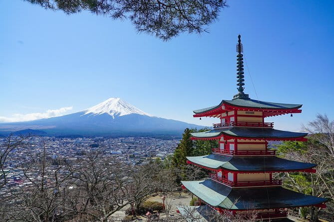 Mt. Fuji Private Chartered Tour with Nature and Wasabi Farm - Getting From Shinjuku to the Fuji Area (Without the Headache)