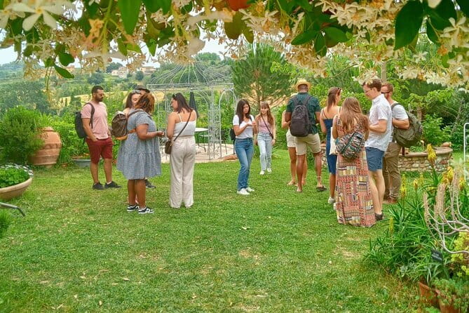 My Tuscan Farm - Three Experiences in One Day - Cellar Time: Five Organic Wines, Olive Oil, and Food Pairings