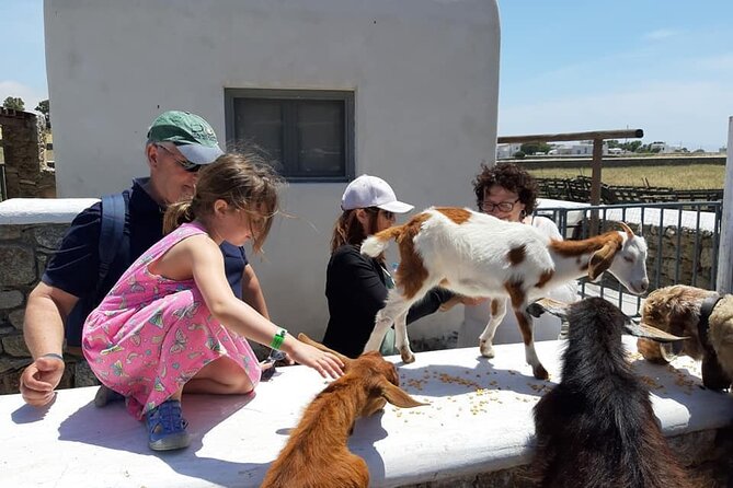 Mykonian Farm Experience - Price and Value: What You’re Actually Buying for $153.78