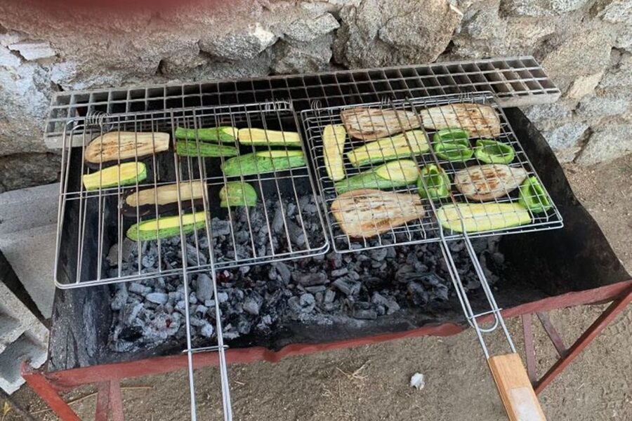 Mykonos: Barbecue at a Mykonian Farm - The Mykonian Farm Visit: Animals, Organic Farming, and Konstantis