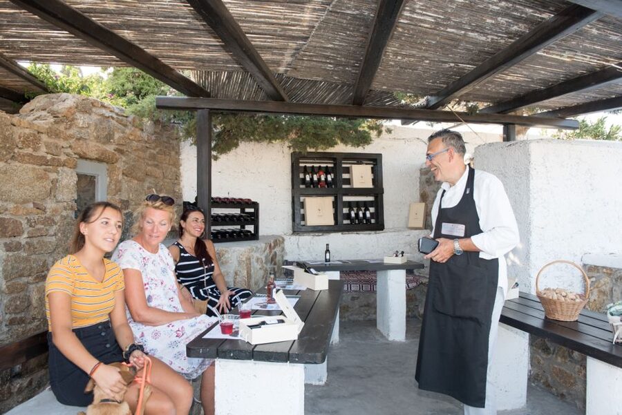 Mykonos: Wine Tasting at a Mykonian Farm - Key things that make this wine stop worth it