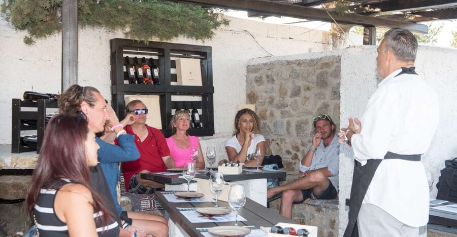 Mykonos: Wine Tasting at a Mykonian Farm - The tasting method: how you learn to taste (not just drink)