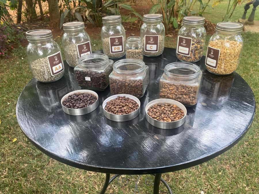 Nairobi: Coffee Factory and Farm Tour with Transfer - Key things that make this coffee tour worth your time