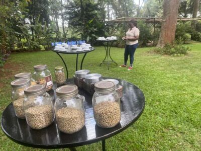 Nairobi: Coffee Factory and Farm Tour with Transfer - The Fairview estate in Limuru: what the setting tells you about the coffee