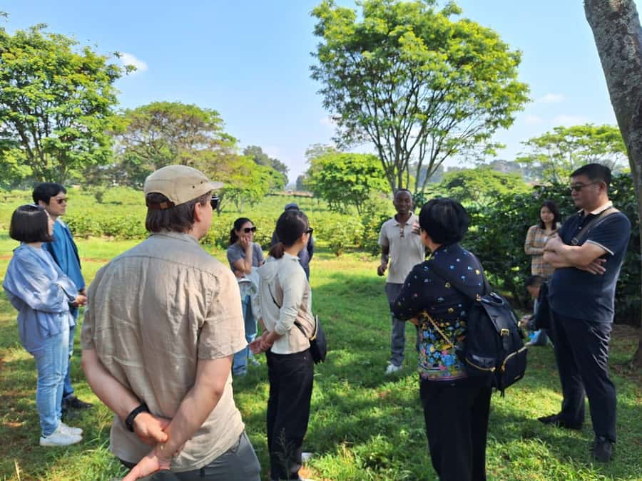 Nairobi: Coffee farm tour with pick up - Key Highlights You’ll Remember