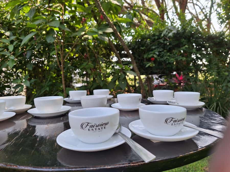 Nairobi: Coffee farm tour with pick up - First Stop: The 9:00 AM Pick-Up and Ride Out of Nairobi