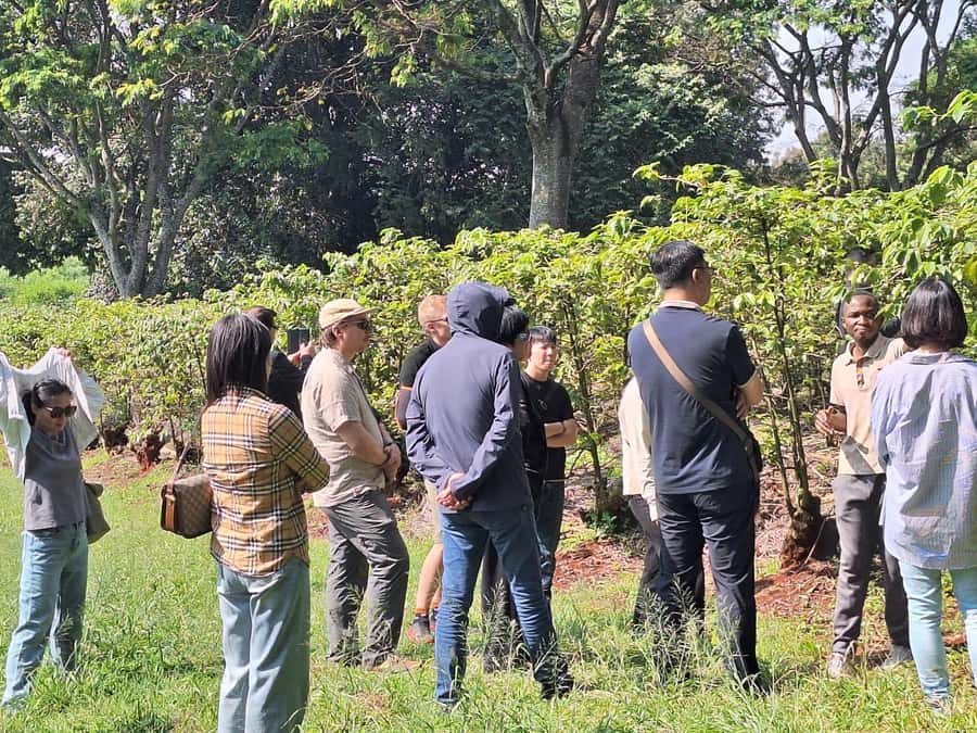 Nairobi: Coffee farm tour with pick up - Patio Views and the Estate Rhythm: How the Half-Day Feels