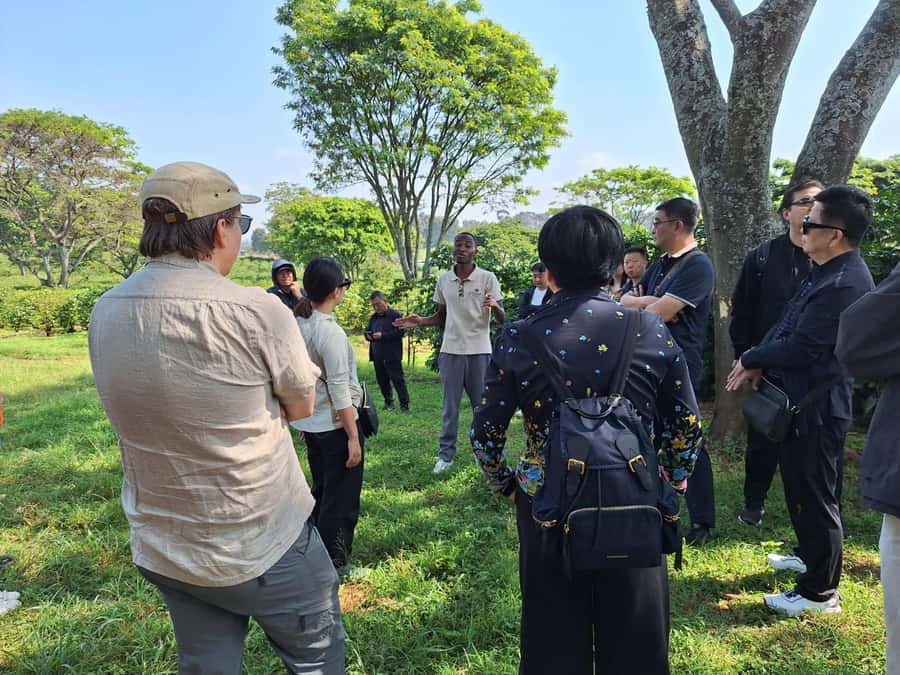 Nairobi: Coffee farm tour with pick up - Price and Value: What $36 Covers and What to Budget Extra