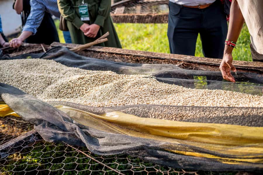 Nairobi: Guided Coffee Farm Tour with Tastings - The hot cup (your choice) and the complimentary snack