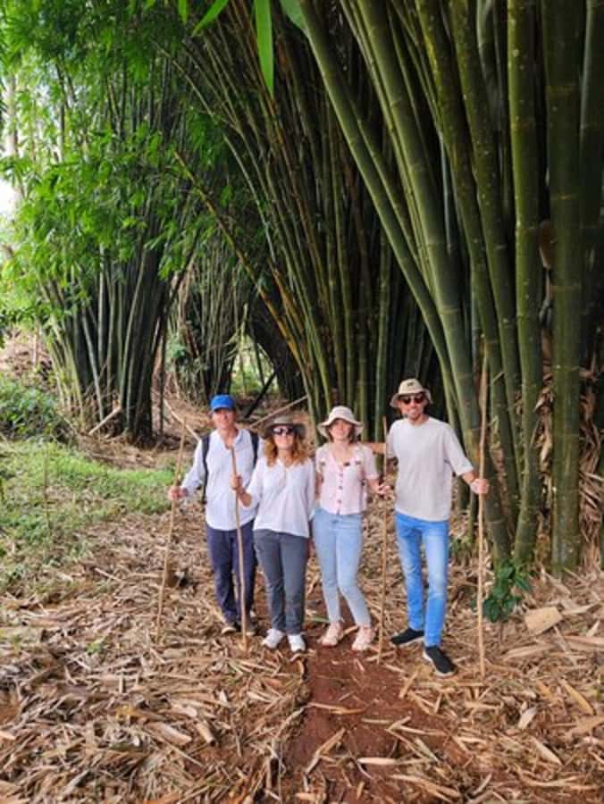 Nairobi: Purple Tea Farm Gatura Greens Day Trip - Guided tea-tasting ceremony: how the flavors get explained