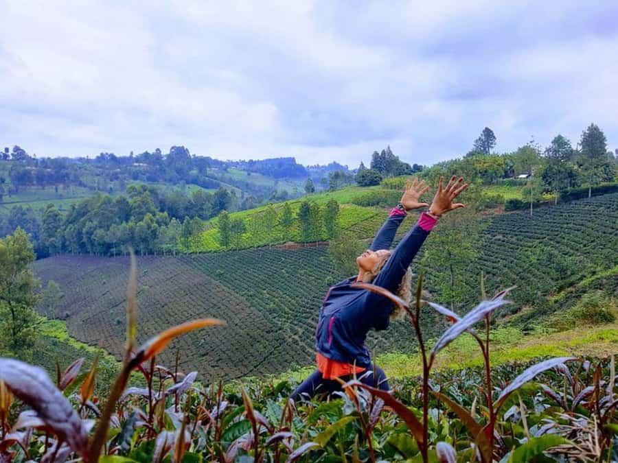 Nairobi: Purple Tea Farm Gatura Greens Day Trip - Waterfall trek and swimming: nature time with a bit of grit