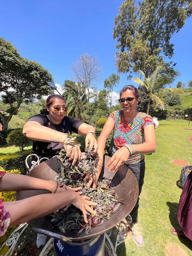 Nairobi: Purple Tea Farm Gatura Greens Day Trip - Farm lunch with local ingredients and countryside views