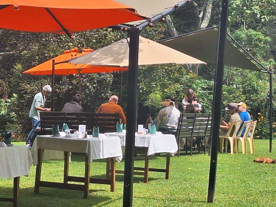 Nairobi: Tea Farm Day Trip with Lunch at kiambethu - Price and Logistics: Value at $44, plus the $42 Cash Fee