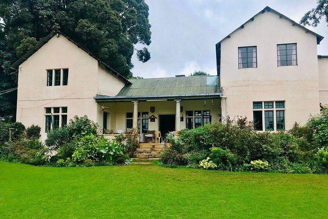 Nairobi to Kiambethu Tea Farm Tour - Things to Know Before You Go (Small Details That Matter)