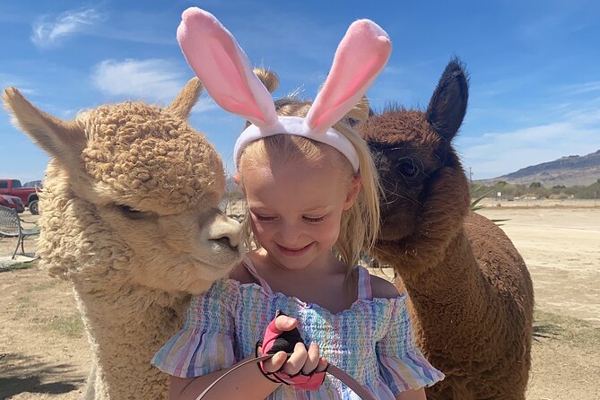Nature Health Farms Alpaca Farm Petting Zoo Pahrump Death Valley - Key Highlights at Nature Health Farms