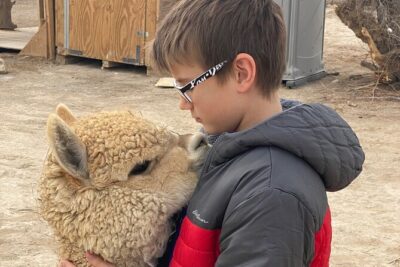 Nature Health Farms Alpaca Farm Petting Zoo Pahrump Death Valley - What You’ll Find Beyond the Petting Zoo: Antiques, Humvees, and Artwork
