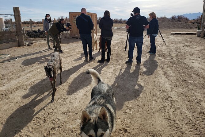 Nature Health Farms Alpaca Farm Petting Zoo Pahrump Death Valley - Hemp Farm Expectations: Why One Part May Feel Missing