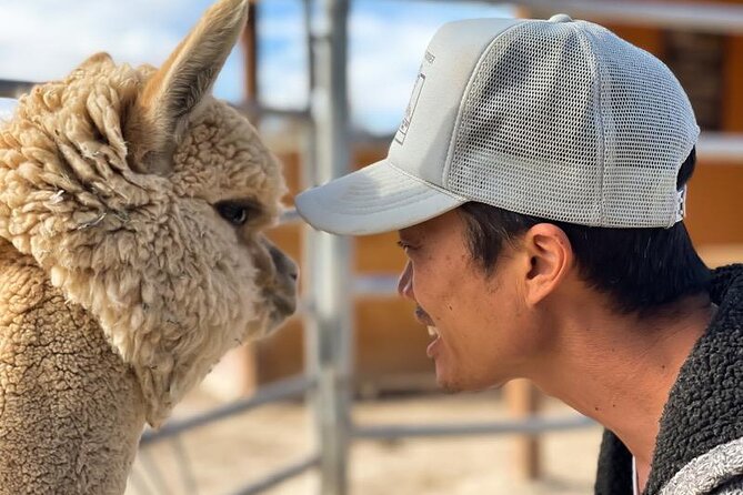 Nature Health Farms Alpaca Farm Petting Zoo Pahrump Death Valley - Should You Book Nature Health Farms Alpaca Farm Petting Zoo?