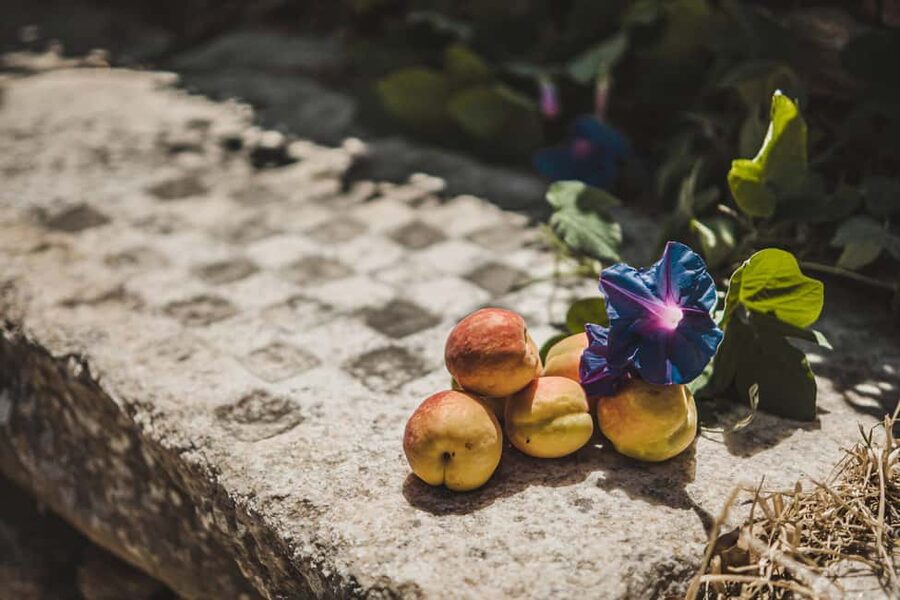 Naxos: Family Farm-table Cooking, Kouros Tour & Live Music - Who This 4-Hour Cooking and Kouros Tour Is Best For