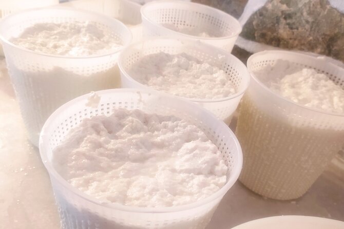 Naxos Farm Experience and cheese making - Who This Farm Cheese Experience Suits Best