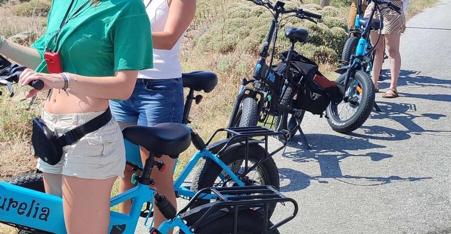 Naxos: Private E-Bike Tour with Farm Lunch - The exclusive farm visit: animals, milking, and cheese season permitting