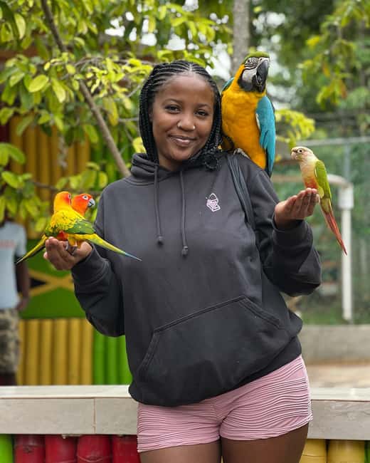 Negril Marijuana Farm and Mineral Spring Tour - Should You Book Negril Marijuana Farm and Mineral Spring Tour?