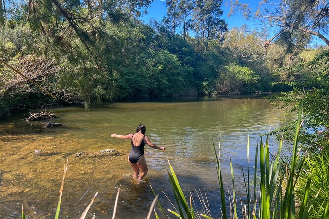 Newcastle: Country Towns River & Farm Tour with BBQ - Key highlights you’ll care about