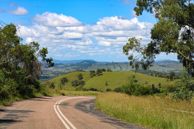 Newcastle: Country Towns River & Farm Tour with BBQ - The guide experience: why Nathan’s style matters