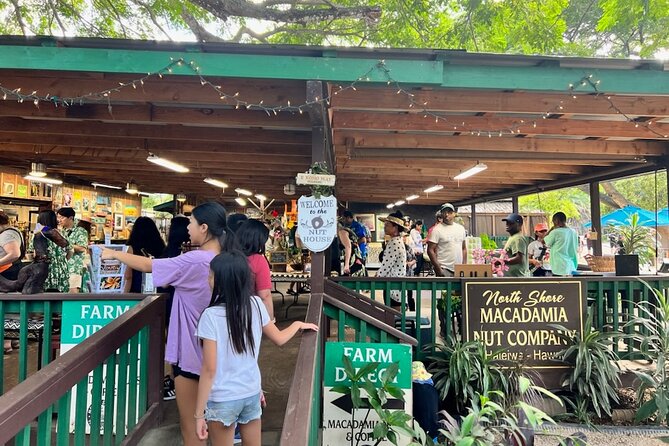 North Shore Dole Pineapple Farm Tour - Dole Plantation and pack house time: where the pineapple story becomes real