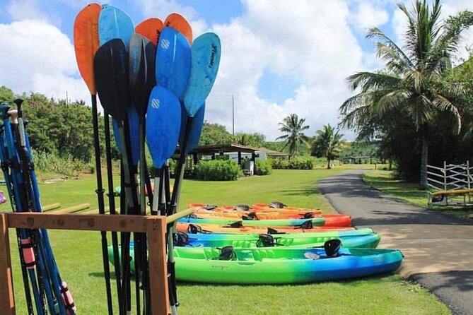 North Shore Farm: Anahulu River, Kayak-Sup, Turtles, Lunch & More - Self-Guided Farm Time: Animals, Turtle Viewing, and Photo Stops