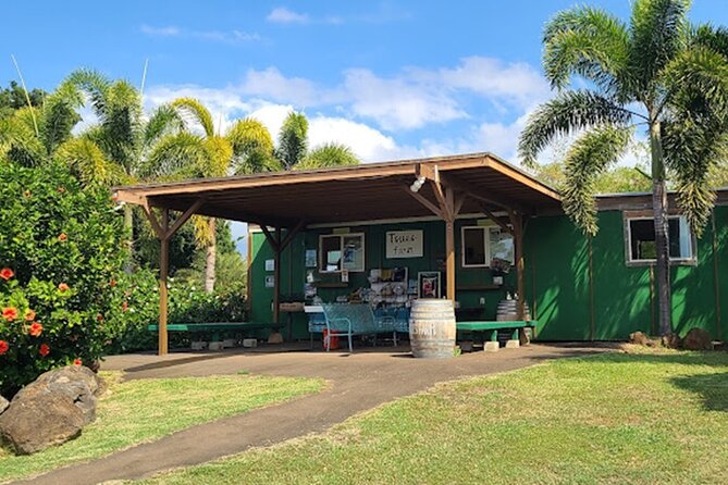 North Shore Farm: Anahulu River, Kayak-Sup, Turtles, Lunch & More - Price and Value: What $80 Really Buys on the North Shore