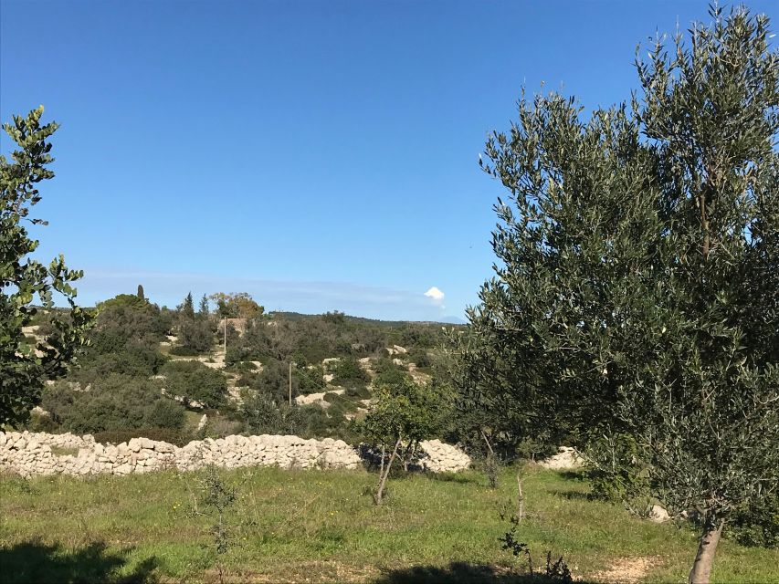 Noto: Farm to Fork in Sicily - Cooking Class in a Farm - Who this Sicilian cooking class is best for