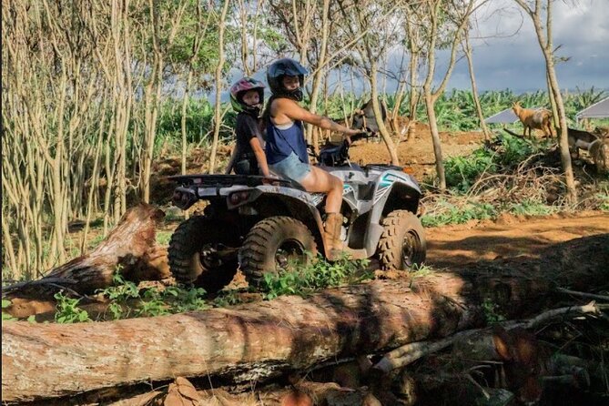 Oahu Beachfront ATV Adventure and Farm Tour - Price and value around $130: who gets the best deal