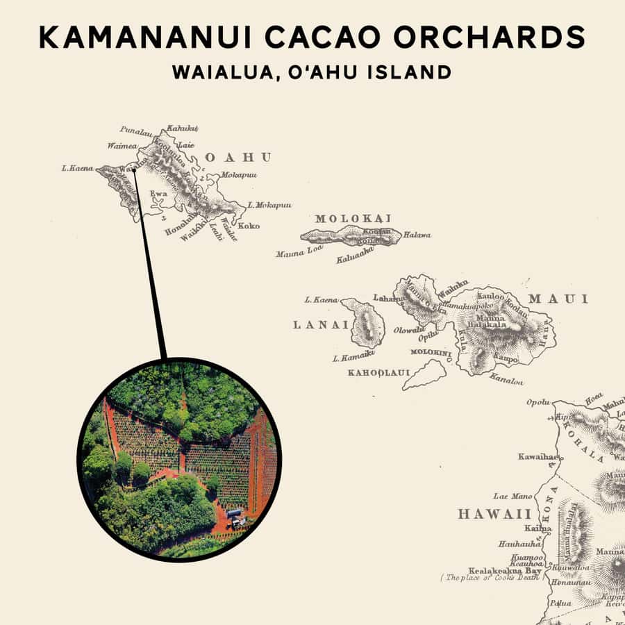 Oahu: Chocolate Farm Tour with Tasting - Kamananui Cacao - Quick hits
