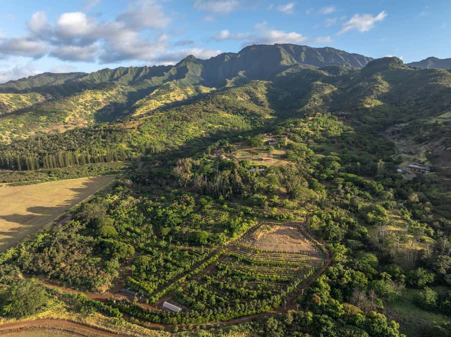 Oahu: Chocolate Farm Tour with Tasting - Kamananui Cacao - The North Shore setting: why this tour works on Oahu