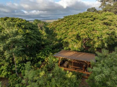Oahu: Chocolate Farm Tour with Tasting - Kamananui Cacao - Price and value: what $93 buys you here