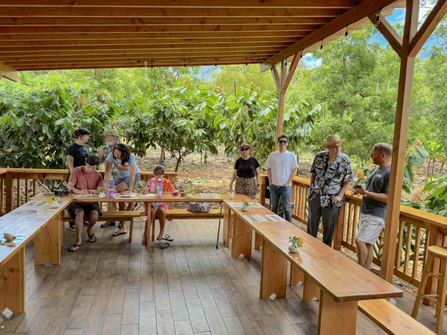 Oahu: Chocolate Farm Tour with Tasting - Kamananui Cacao - The chocolate tasting: how to get more out of it